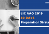 LIC AAO 2019: 30 Days Effective Preparation Strategy LIC AAO Preparation Strategy