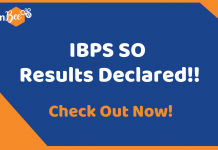 IBPS SO Final Results Declared: Check Your Results Now IBPS SO Results Declared