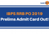 IBPS RRB 2019: Download IBPS RRB PO Prelims Admit Card