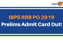 IBPS RRB 2019: Download IBPS RRB PO Prelims Admit Card