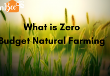 Zero Budget Natural Farming or ZBNF: Check All Details Here
