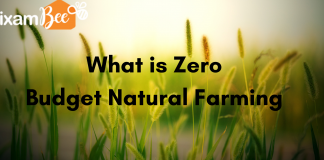 Zero Budget Natural Farming or ZBNF: Check All Details Here