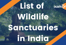 List of Wildlife Sanctuaries in India: Discover Nature’s Hidden Gems