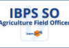 Salary of an IBPS SO Agriculture Field Officer Salary of an IBPS SO Agriculture Field Officer