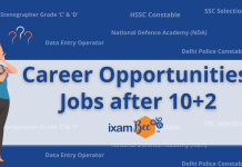 Government Jobs After 12th Class – Check Post, Educational Qualification Government jobs after class 12.