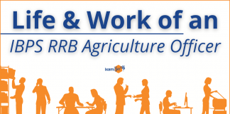 Life of an IBPS RRB Agriculture Officer Life of an IBPS RRB Scale 2 Agriculture Officer- Job Profile and More.