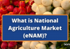 What is the National Agriculture Market (eNAM)? National Agriculture Market (eNAM)?
