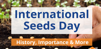 International Seeds Day: History, Importance & More International Seeds Day