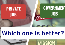 Government Job vs Private Job Government Job vs Private Job: Which one is better?