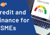 Credit and Finance for MSMEs Credit and Finance for MSMEs