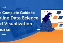 The Complete Guide to Online Data Science and Visualization Course
