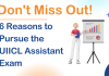 UIICL Assistant Exam: 6 Reasons You Can’t Afford to Miss UIICL Assistant Exam