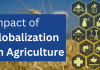 Impact of Globalization on Agriculture Impact of Globalization on Agriculture