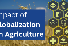 Impact of Globalization on Agriculture Impact of Globalization on Agriculture