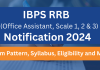 Everything to Know About the IBPS RRB PO Exam Notification 2024  IBPS RRB 2024