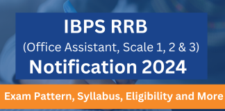 Everything to Know About the IBPS RRB PO Exam Notification 2024  IBPS RRB 2024