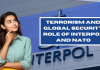 Terrorism and Global Security: The Role of Interpol and NATO  Interpol and NATO