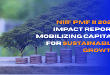NIIF PMF II 2025 Impact Report: Mobilizing Capital for Sustainable Growth  NIIF PMF II 2025 Impact Report Mobilizing Capital for Sustainable Growth