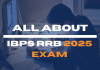 All About IBPS RRB 2025 Exam