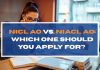 NICL AO vs. NIACL AO: Which One Should You Apply For?  NICL AO vs. NIACL AO: Which One Should You Apply For?